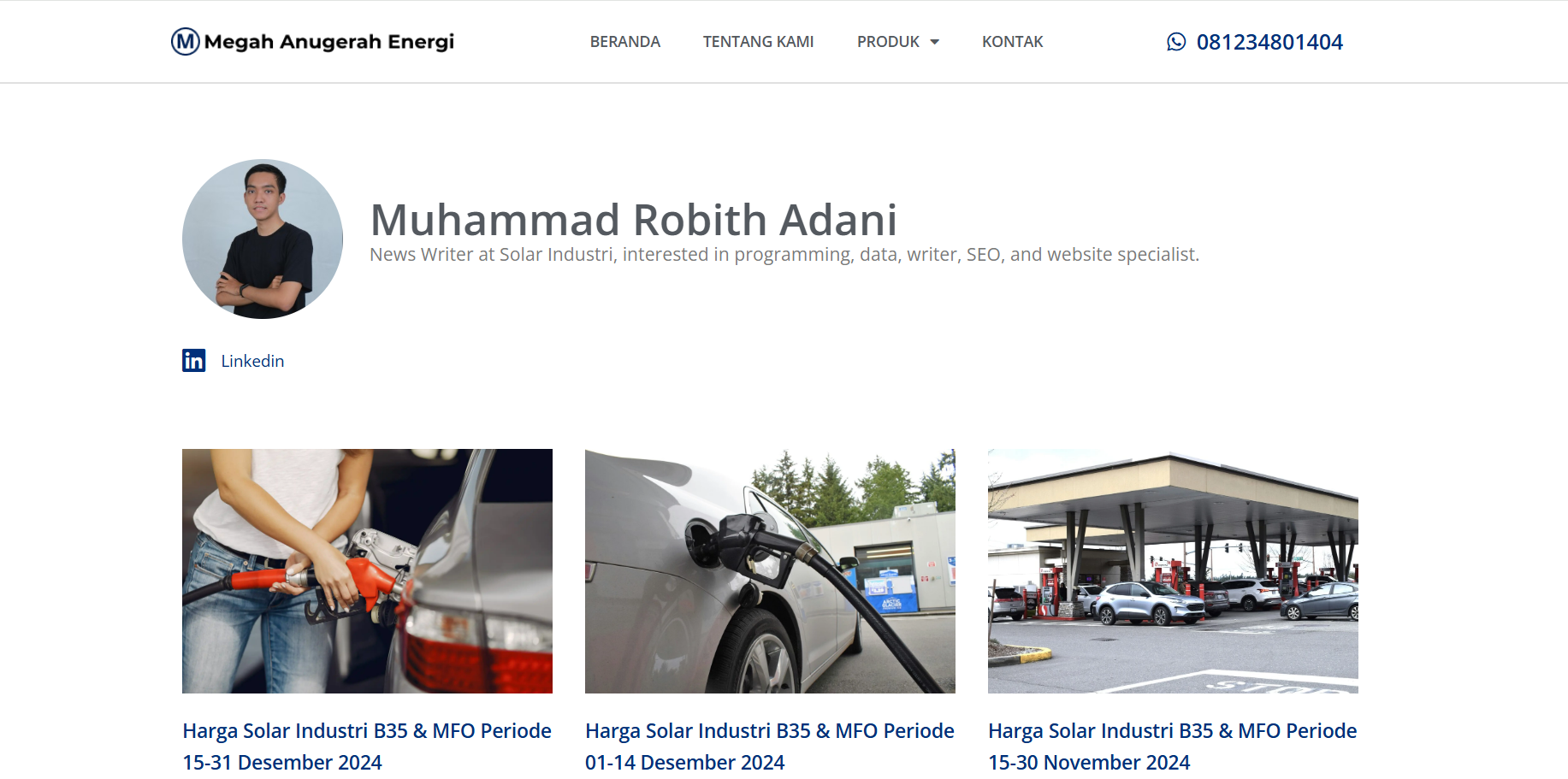 Author at Solarindustri